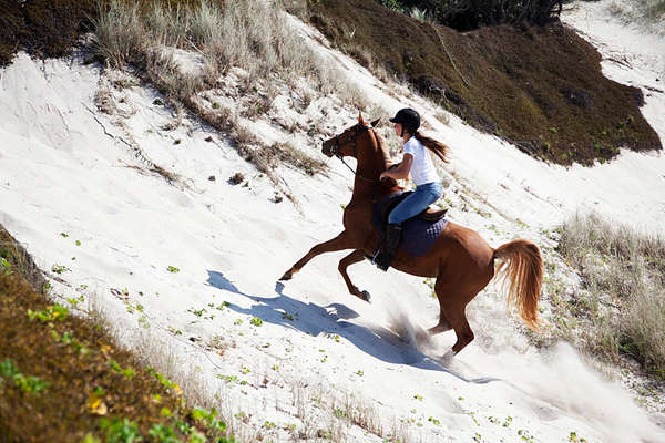 A cheval en Nouvelle-Zélande