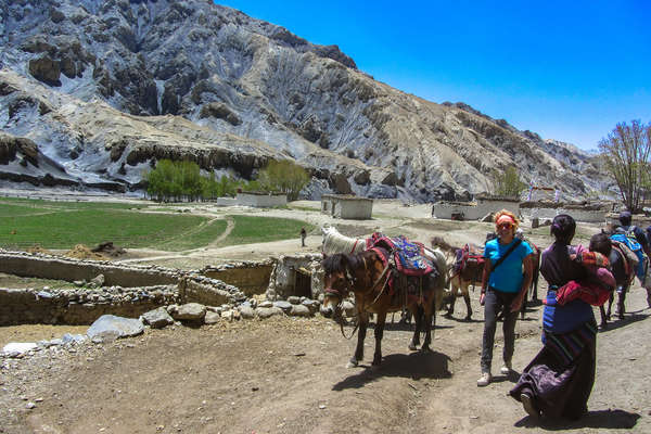 Mustang à cheval