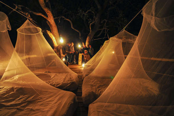 Nuit insolite  sur la plateforme de Tree house au coeur de l'Okavango