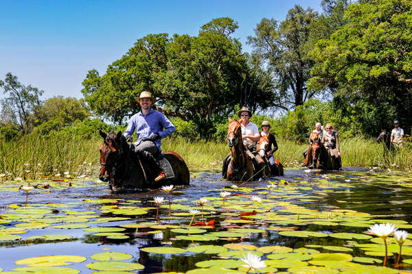 Okavango Karim Laghouag, à cheval au milieu des nénuphars