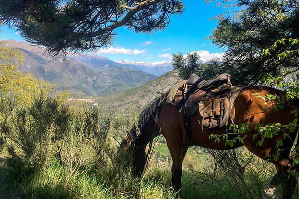 Mercantour à cheval