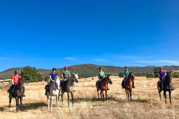 Pause équestre en Bulgarie