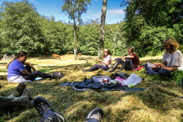 Pause pique nique en Auvergne