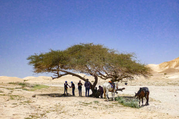 Pause pour les cavaliers en Israël