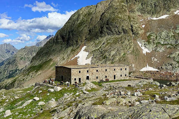 Refuge et chevaux dans le Mercantour