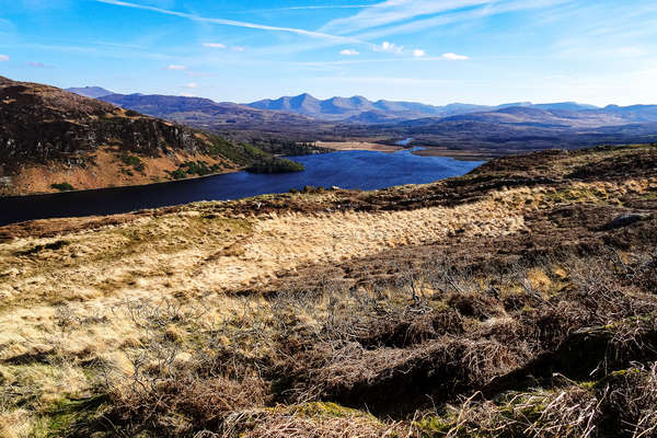 Paysage bucolique de l'Irlande