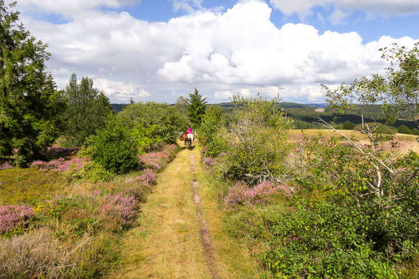 Paysage corrézien