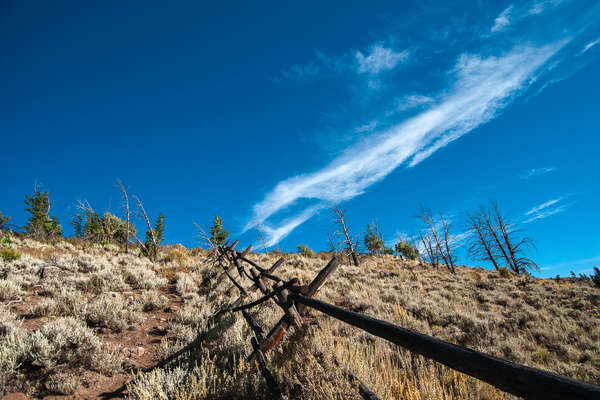 Paysage des Etats-Unis à cheval