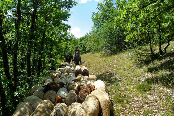 Paysage du Périgord à cheval