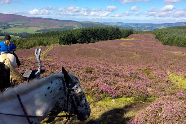 A cheval dans les paysages écossais