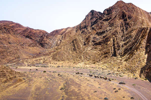 Paysage namibien à cheval