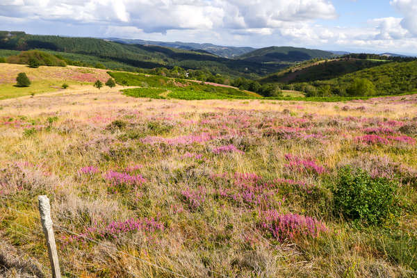 Paysage vallonné de Corrèze