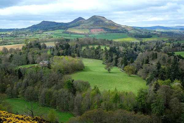 L'Ecosse, pays verdoyant