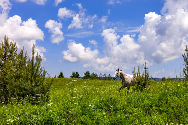 Paysages de Bulgarie à cheval