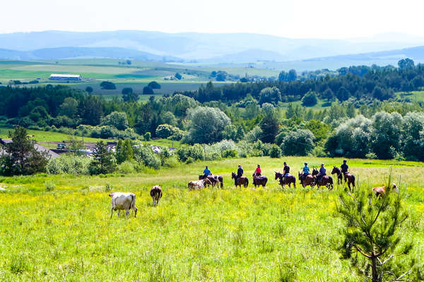 Paysages verdoyants de Pologne à cheval