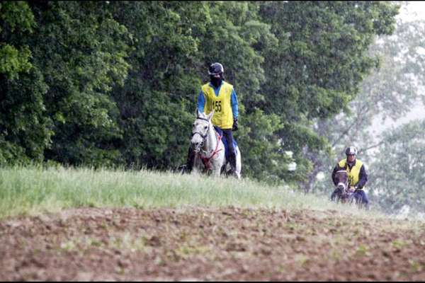 Cantal - stage endurance à cheval