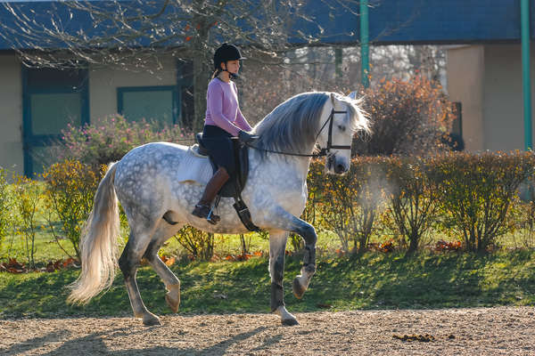 Piaffer pour ce cheval