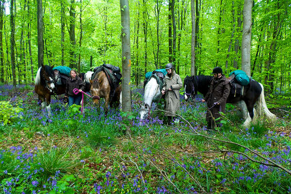 Picardie à cheval