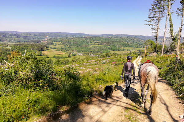 Pieds à terre en endurance