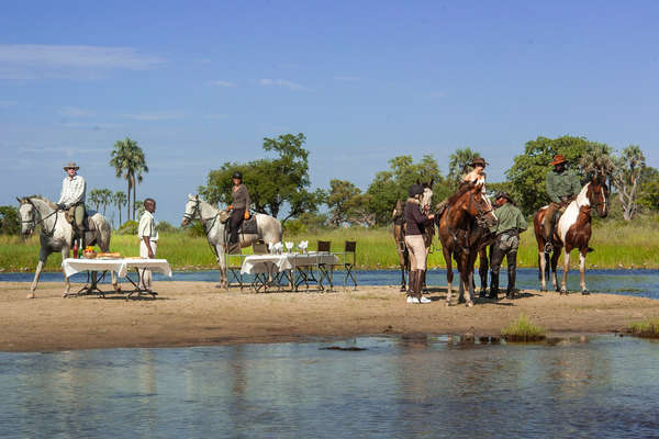 Pique nique  surprise installé pour les cavaliers dans l'Okavango.