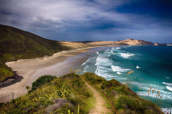 Côte sauvage en Nouvelle-Zélande