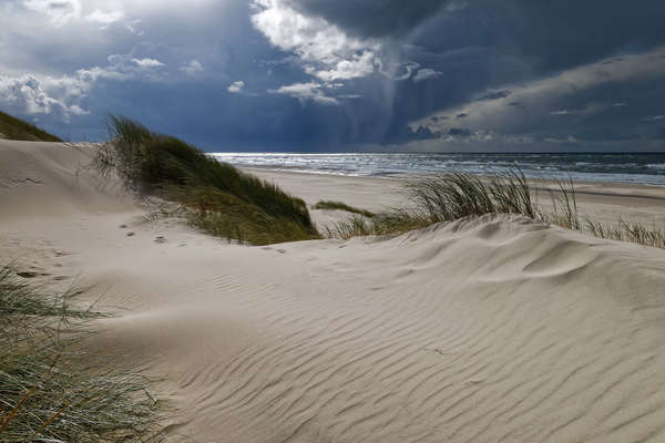 Plages du Danemark à cheval