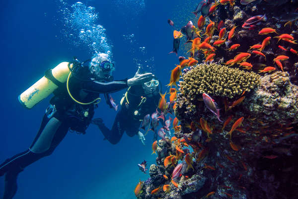 plongée en mer rouge à Aquaba