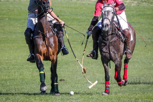 Polo en Argentine