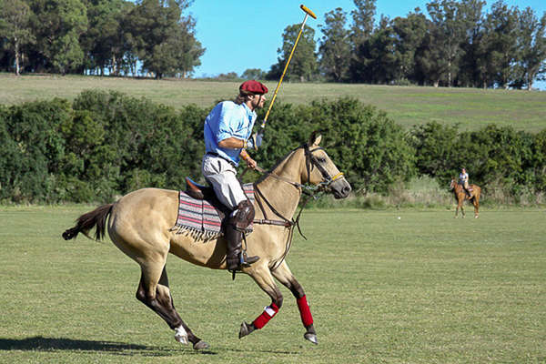 Argentine et le polo à cheval
