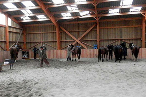 Chevaux et randonnée en France