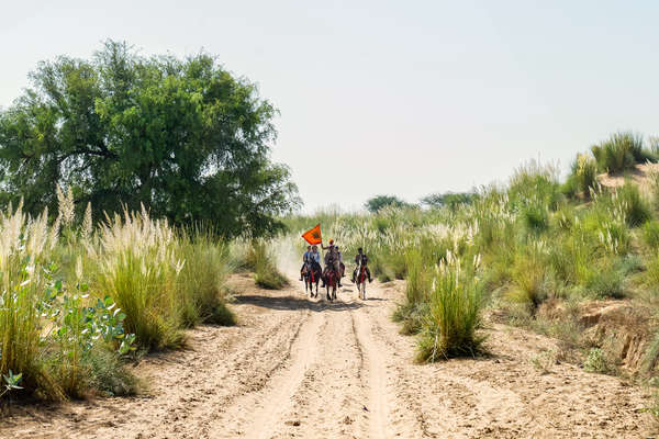 Rajasthan à cheval