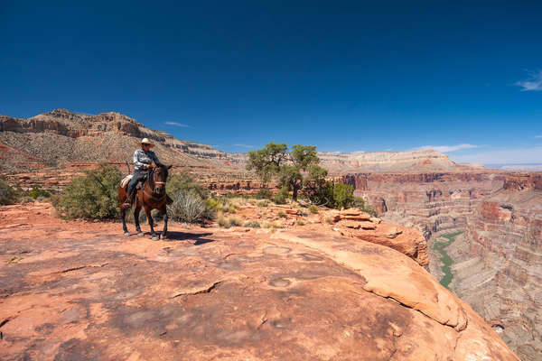 Rando à cheval au Grand Canyon