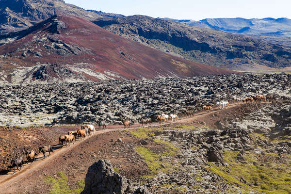 Rando à cheval au Landmannalaugar