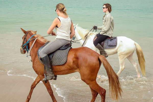 Rando à cheval au Sénégal