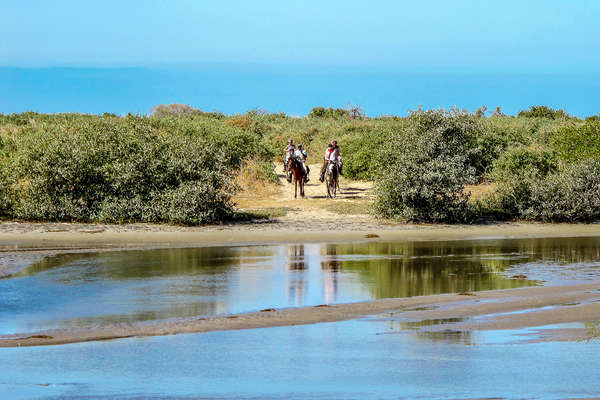 Rando à cheval au Sénégal