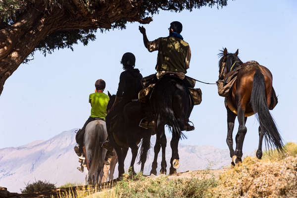 Rando à cheval dans le Haut Atlas au Maroc