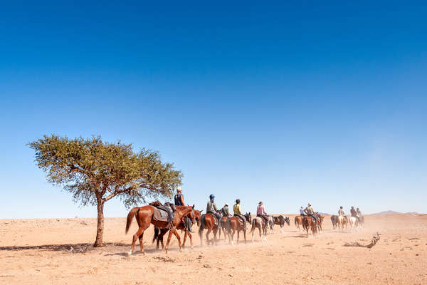 Rando à cheval dans le Namib