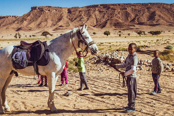 Rando à cheval dans le sahara marocain