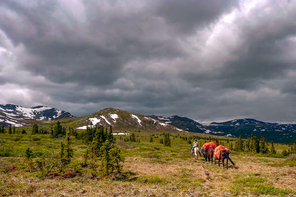 Rando à cheval dans le Yukon