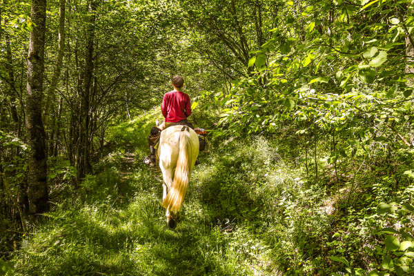 Rando à cheval en Andorre