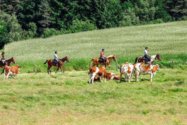 Rando à cheval en Ardèche
