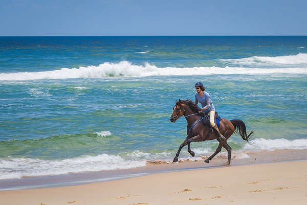 Rando à cheval en Australie