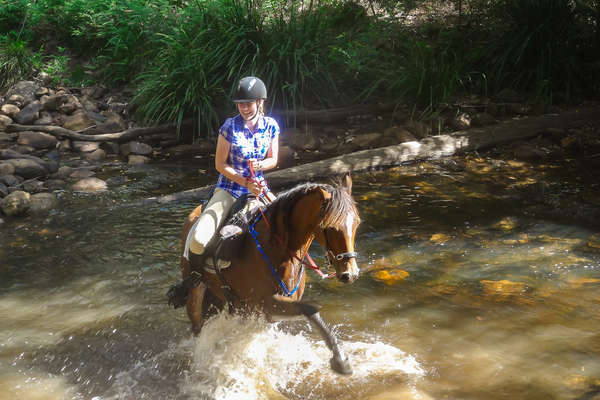 Rando à cheval en Australie