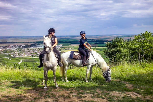 Rando à cheval en Champagne