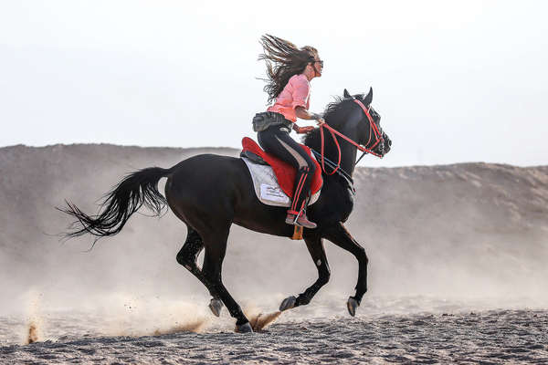 Rando à cheval en Egypte