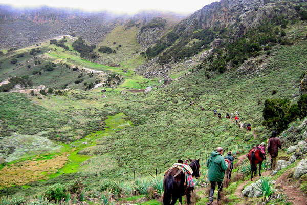 Rando à cheval en Ethiopie