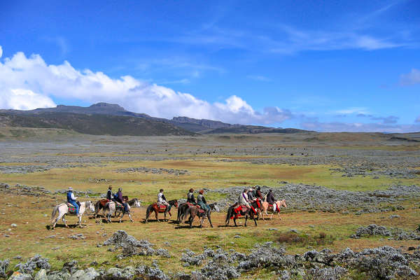 Rando à cheval en Ethiopie