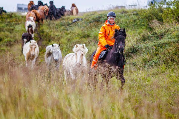 Rando à cheval en Islande