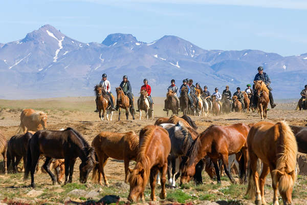 Rando à cheval en Islande