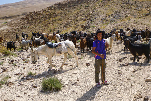 Rando à cheval en Israël